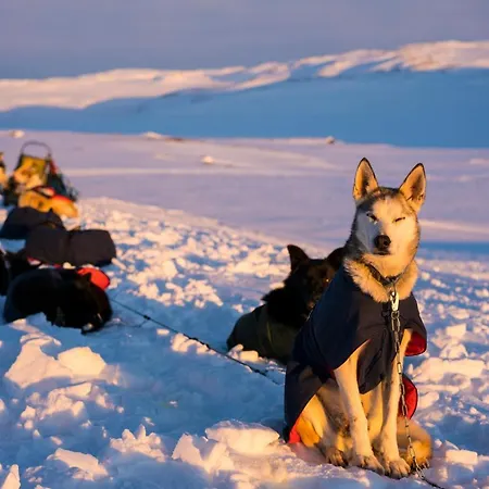 Gausta View Leilighetshoteller 4*