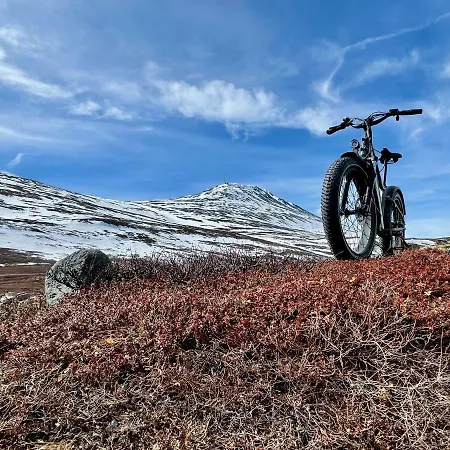 Lägenhetshotell Gausta View 4*