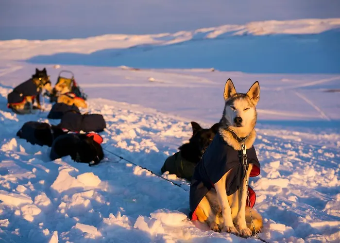 Gausta View 公寓式酒店 4*